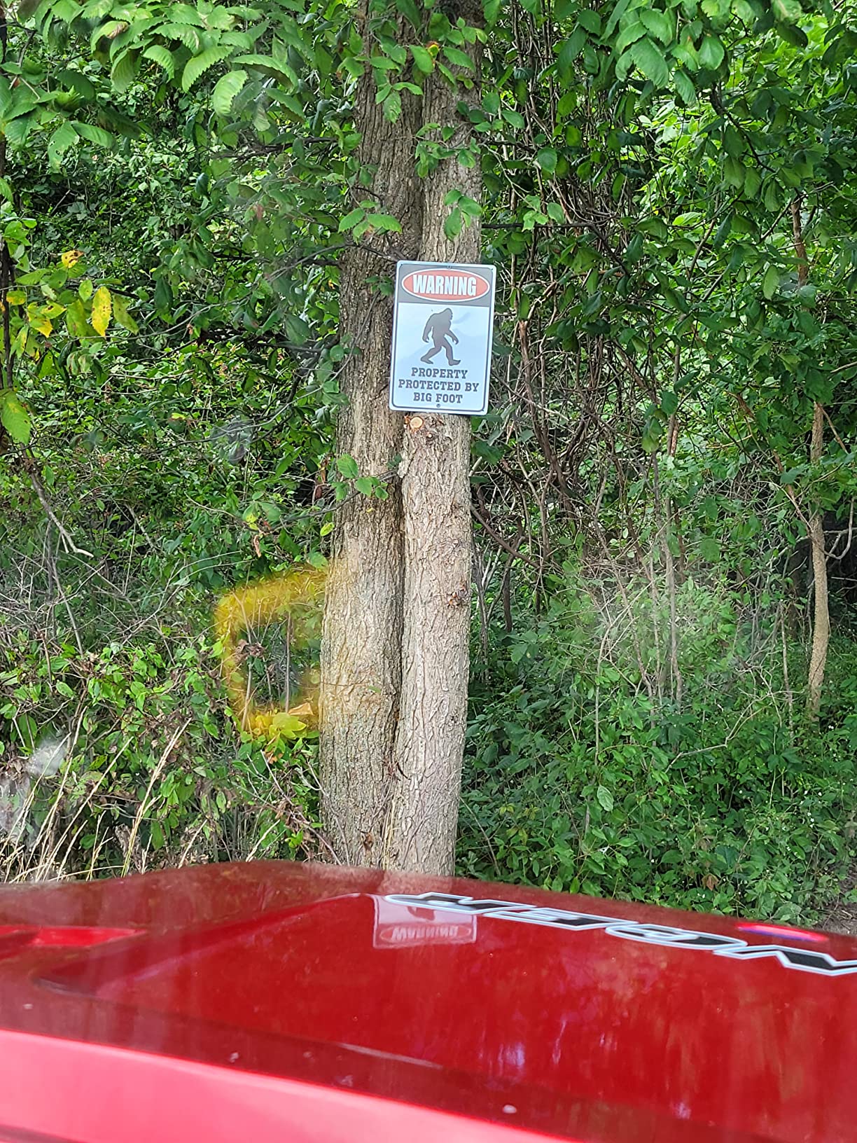 Warning Property Protected by Big Foot - Funny Metal Decor Sign