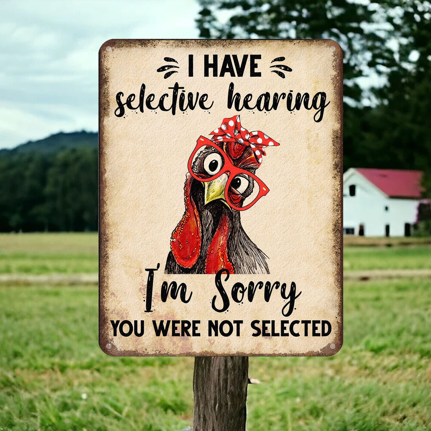 Chicken Funny - Chicken Metal Sign