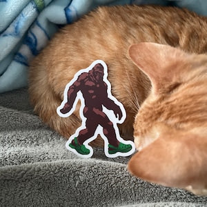 VS120 Bigfoot Wearing Crocs Vinyl Stickers