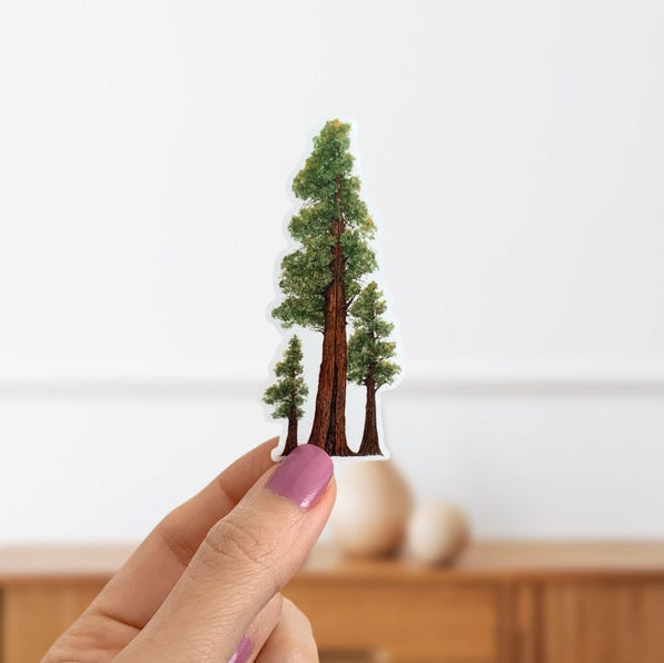 Redwood Trees Vinyl Sticker