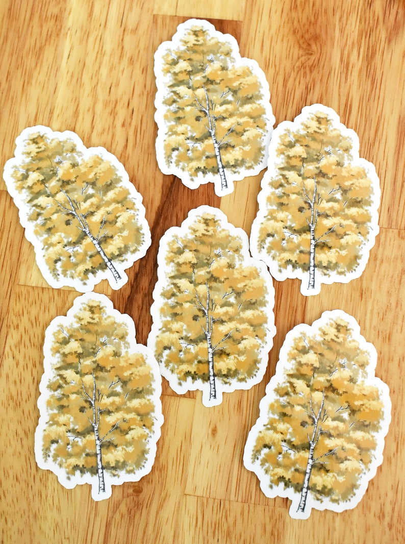 Birch tree Vinyl Sticker