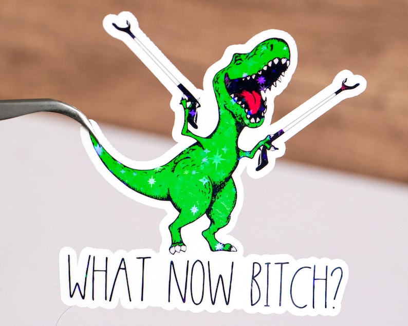 What Now Bi*ch Sticker
