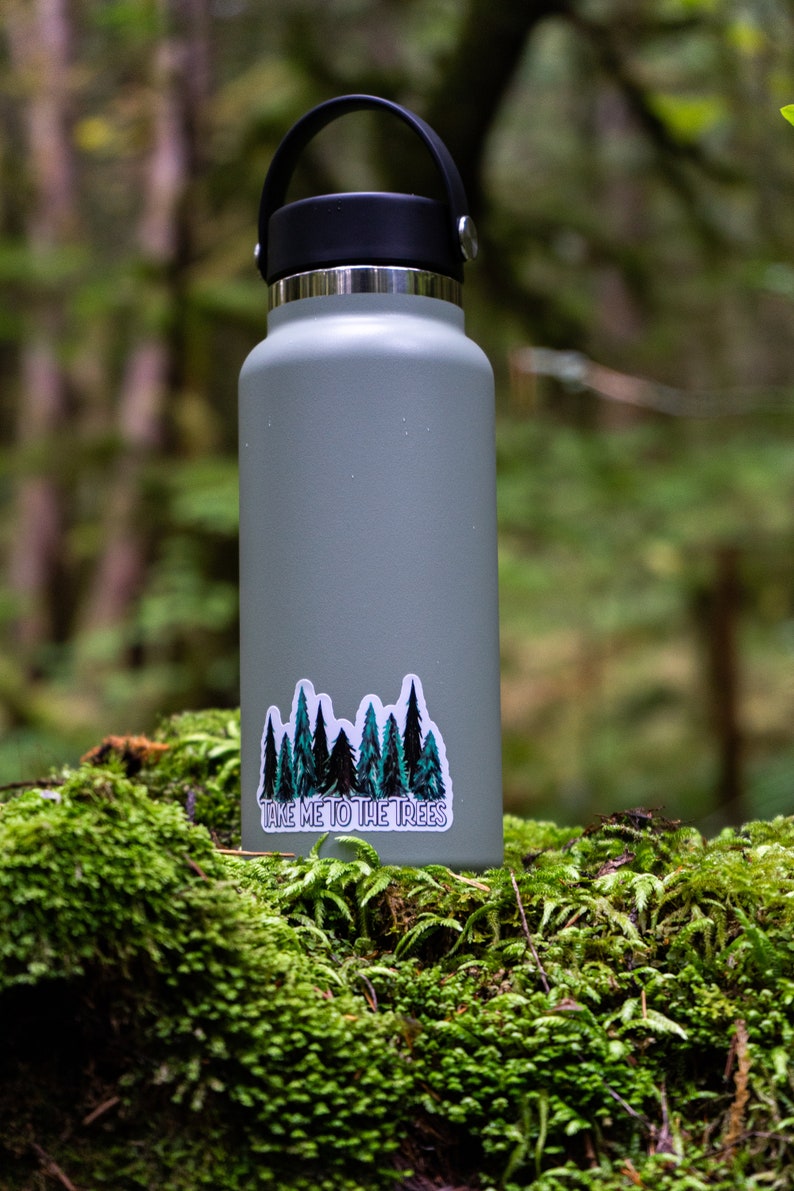 Take Me To The Trees