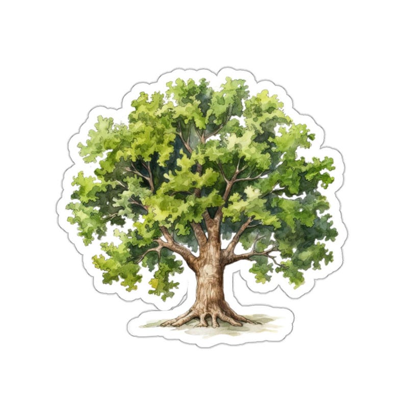 Oak Tree Sticker