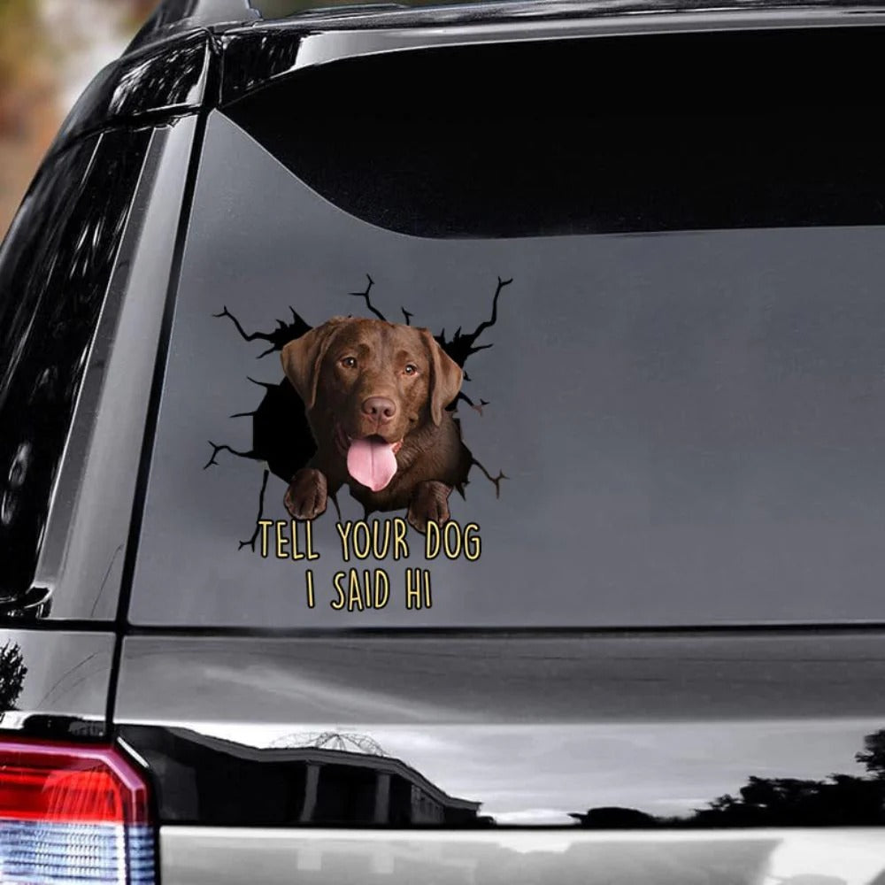 Funny Labrador Car Sticker, Dog Decal