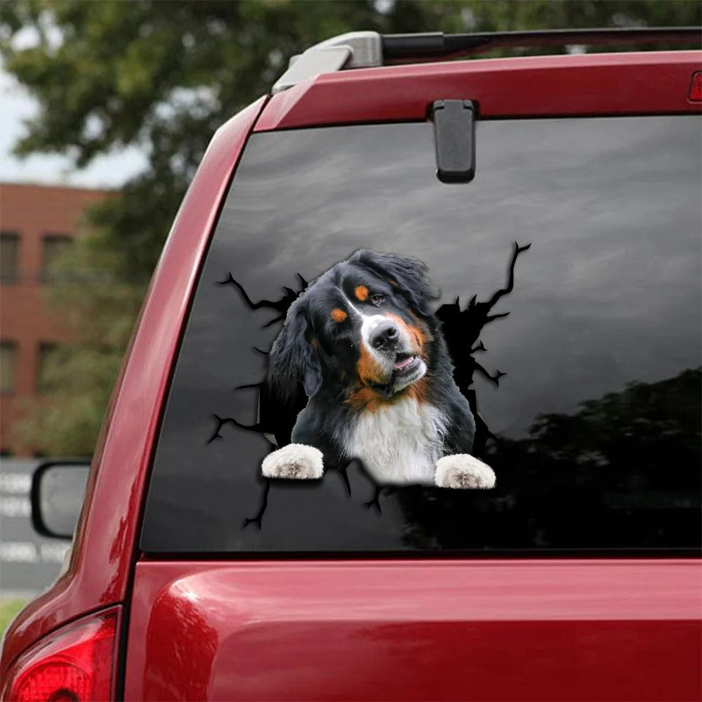 Bernese mountain blonde crack Sticker, Dog Decal