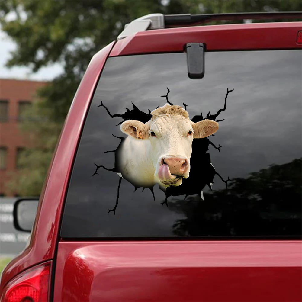 Charolais Cow Crack Sticker Cattle Lover Cow Sticker, Decal