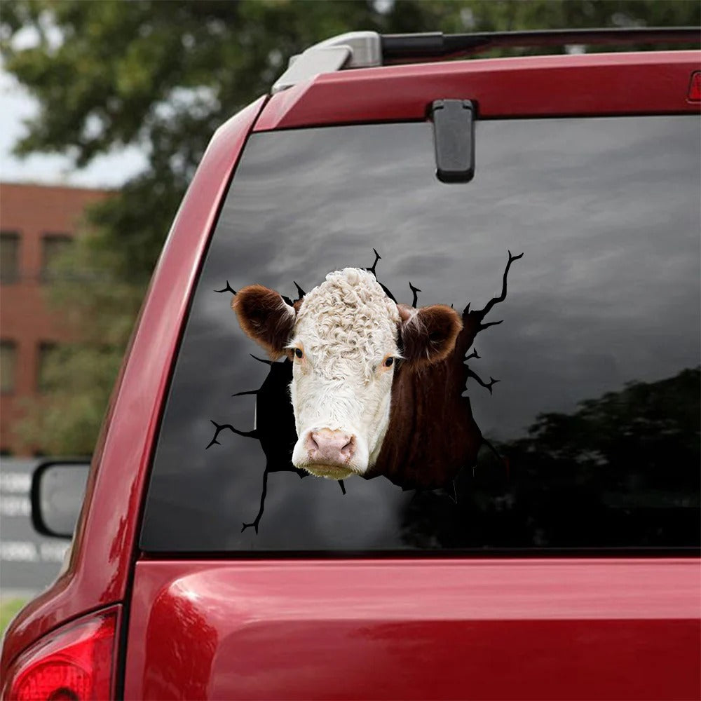Hereford cattle crack car sticker cows lover, Cows Decal