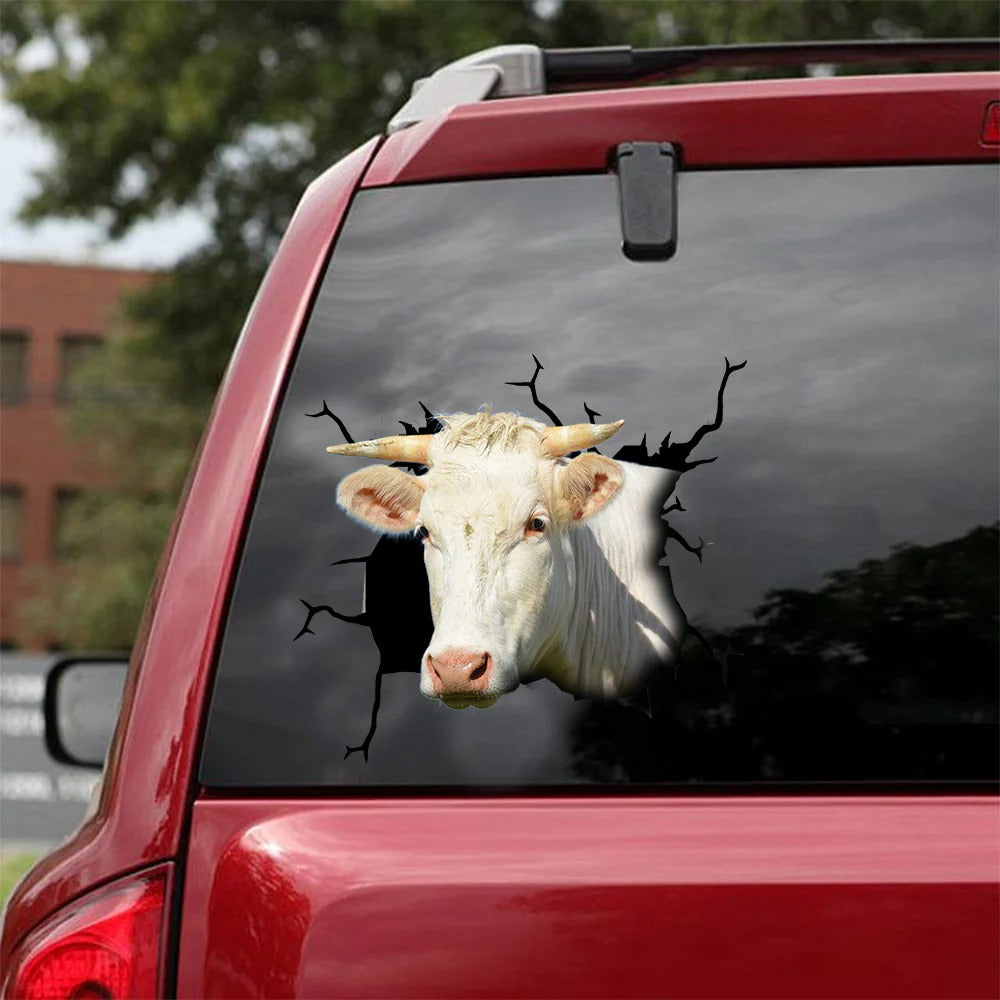 Charolais cattle crack car sticker cows lover, Cows Decal