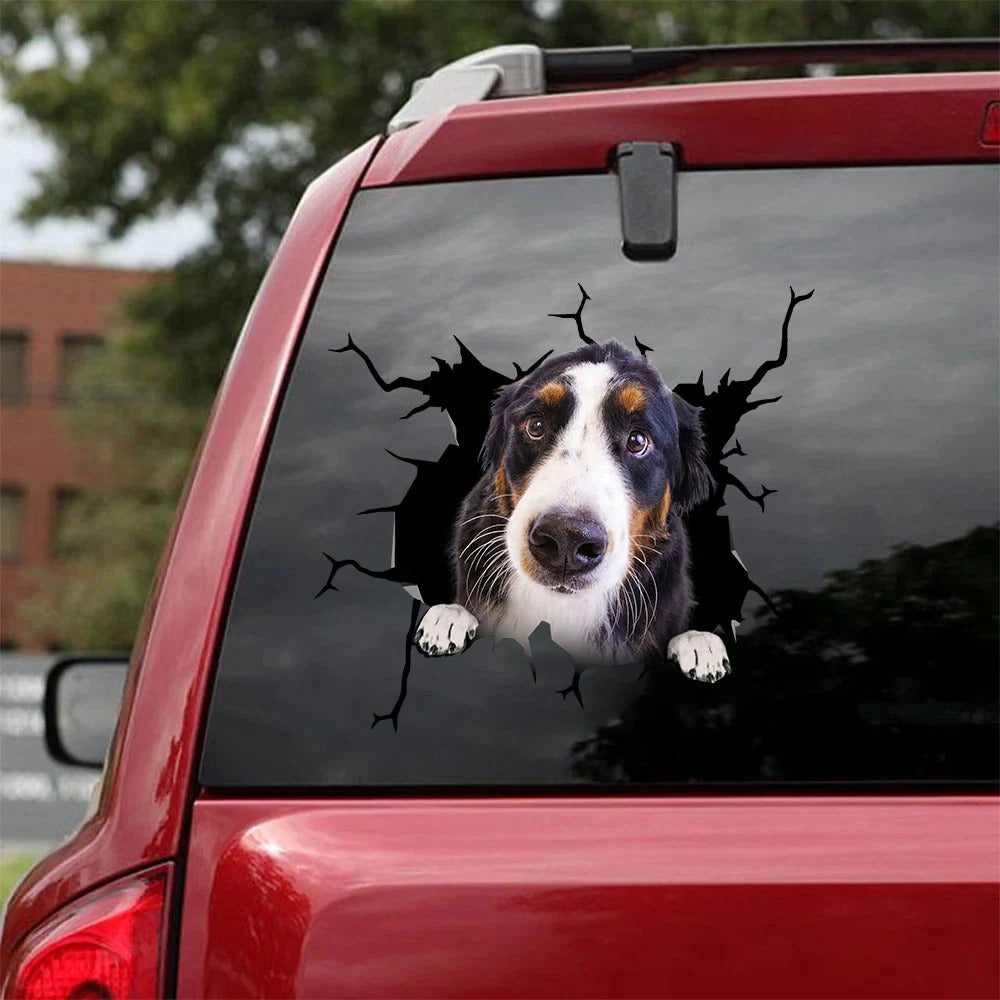 Bernese mountain crack car Sticker, Dog Decal