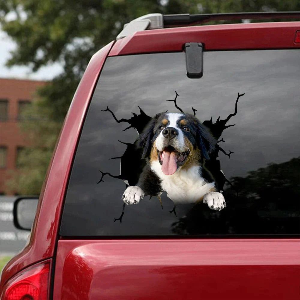 Bernese mountain crack car Sticker, Dog Decal