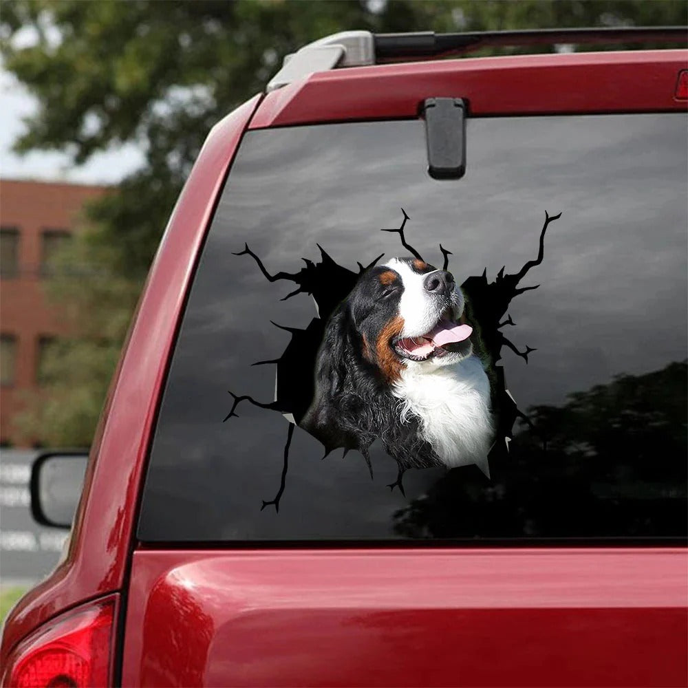 Bernese mountain crack car Sticker, Dog Decal