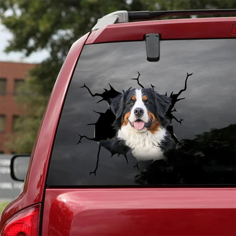 Bernese mountain crack car Sticker, Dog Decal