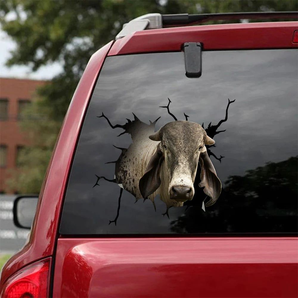 Brahman cow crack sticker cattle lover, Cows Decal