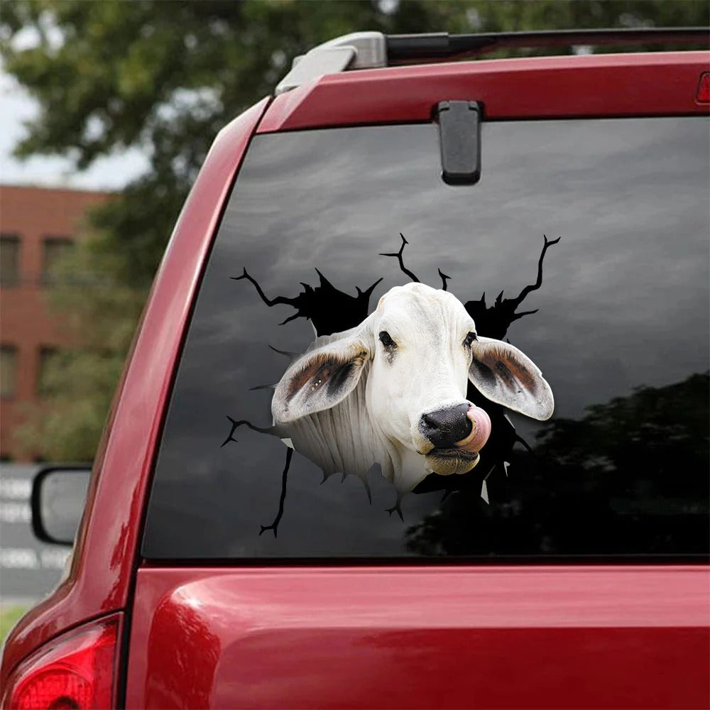 Brahman cow crack sticker cattle lover, Cows Decal