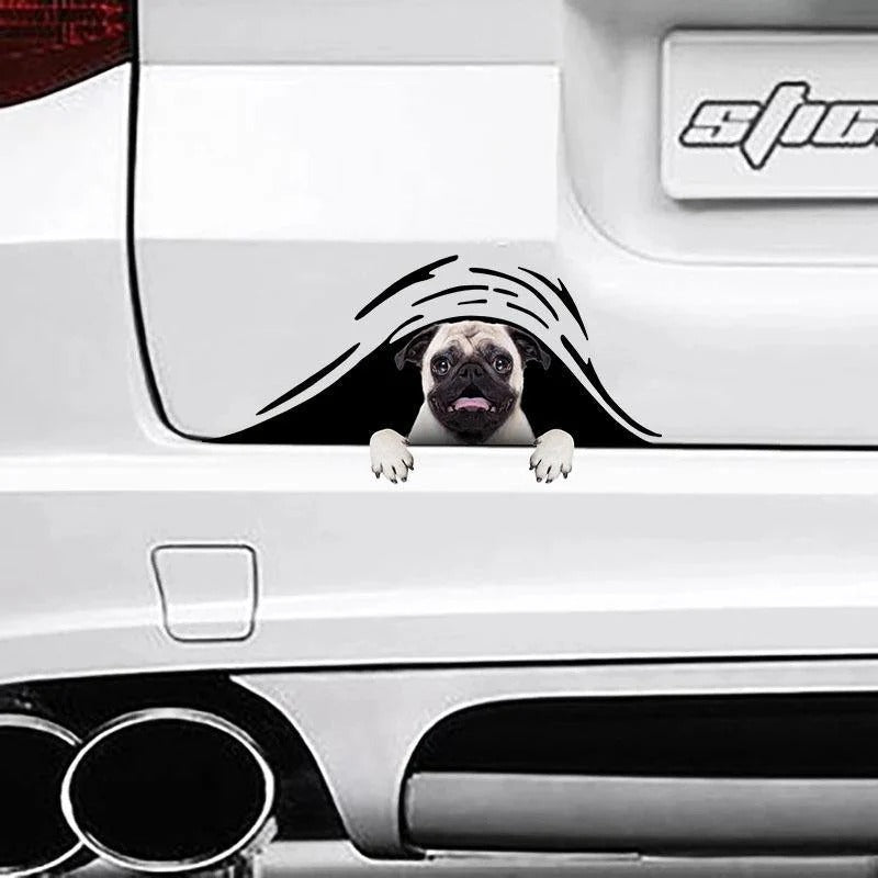 Funny Pug Dogs Vinyl Decal, Dog Decal