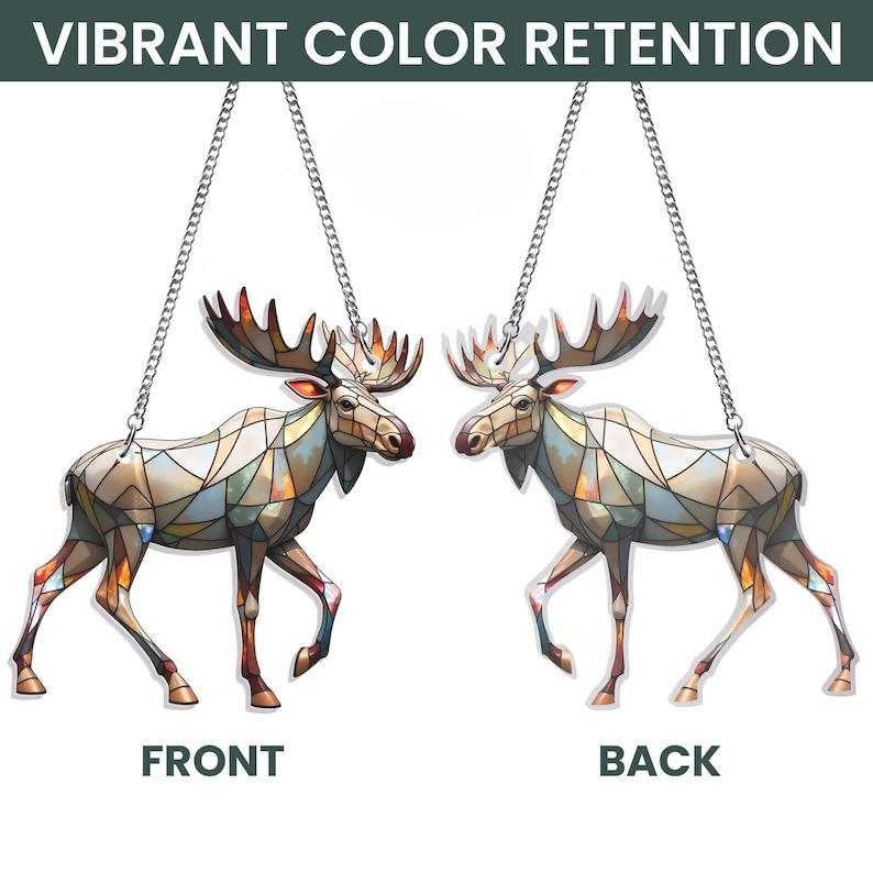 Moose Acrylic Window