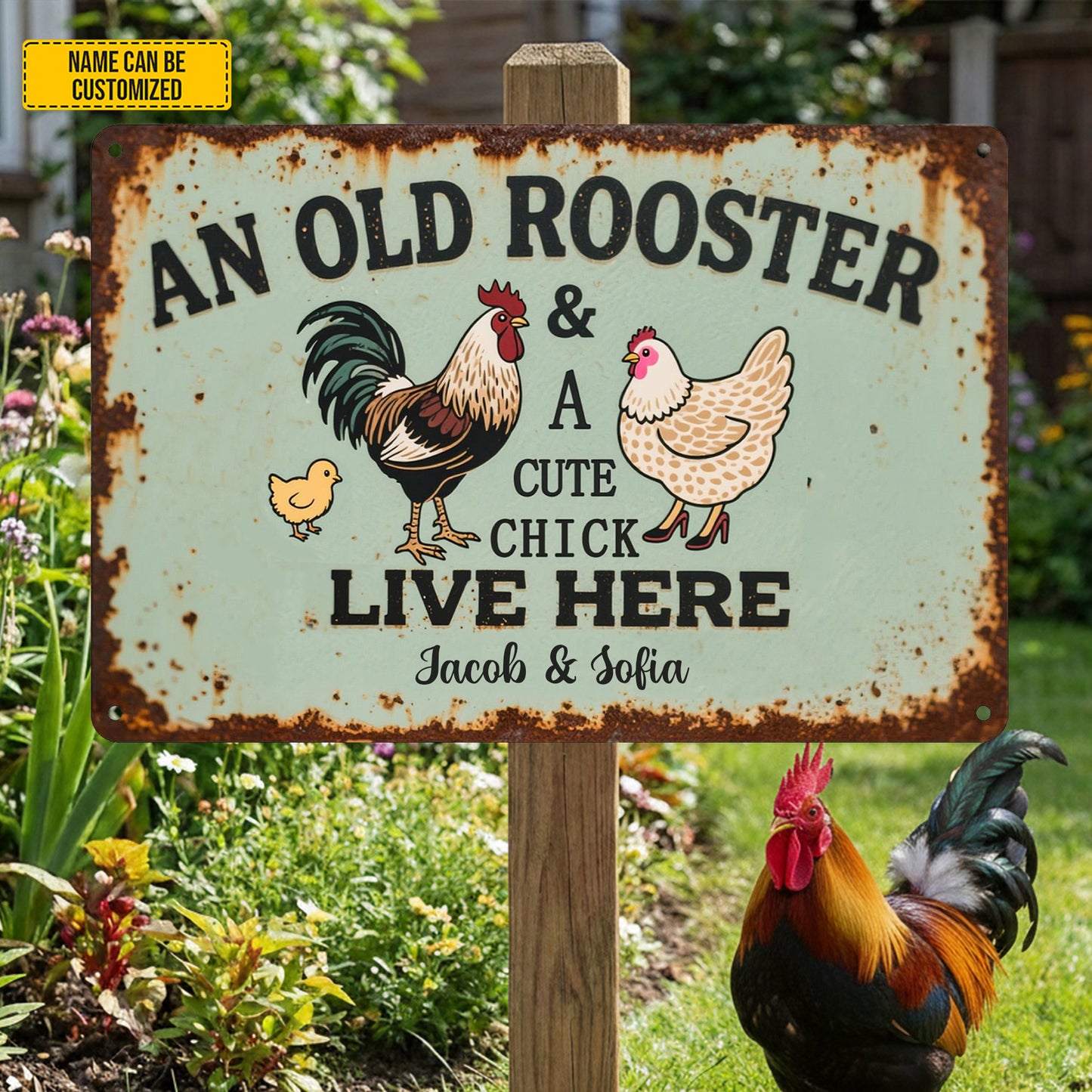 An Old Rooster & A Cute Chick - Personalized Chicken Metal Sign