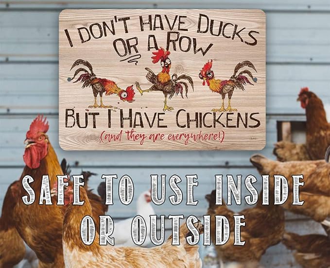 I Don't Have Ducks Or A Row - Funny Chicken Metal Sign
