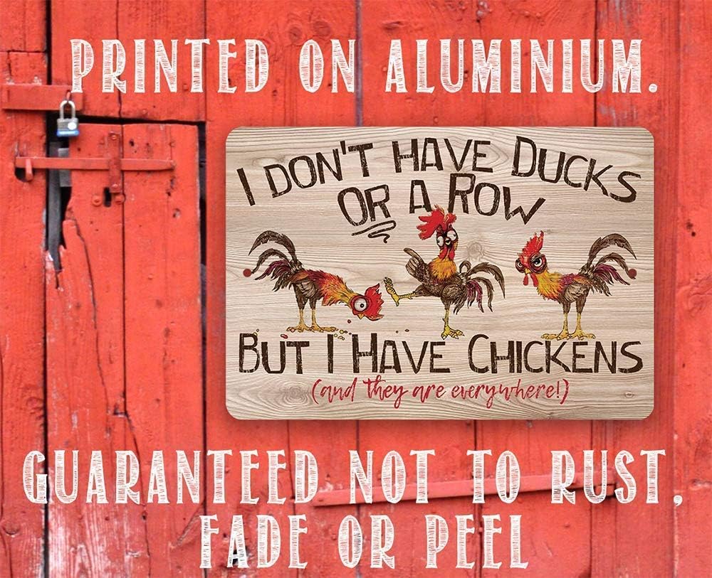 I Don't Have Ducks Or A Row - Funny Chicken Metal Sign