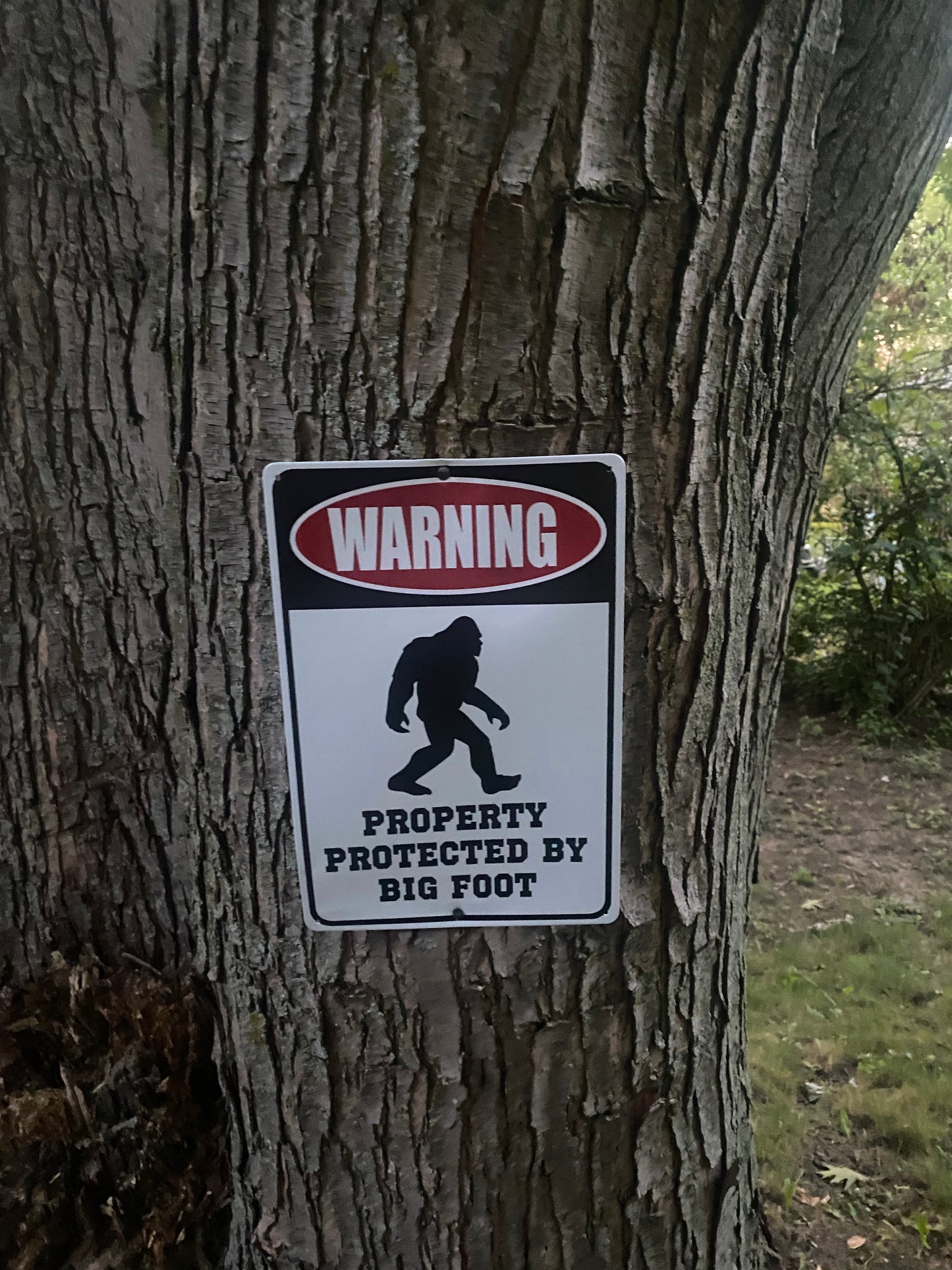 Warning Property Protected by Big Foot - Funny Metal Decor Sign