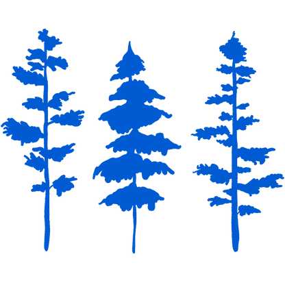 Still & Wild Sticker