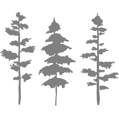 Still & Wild Sticker