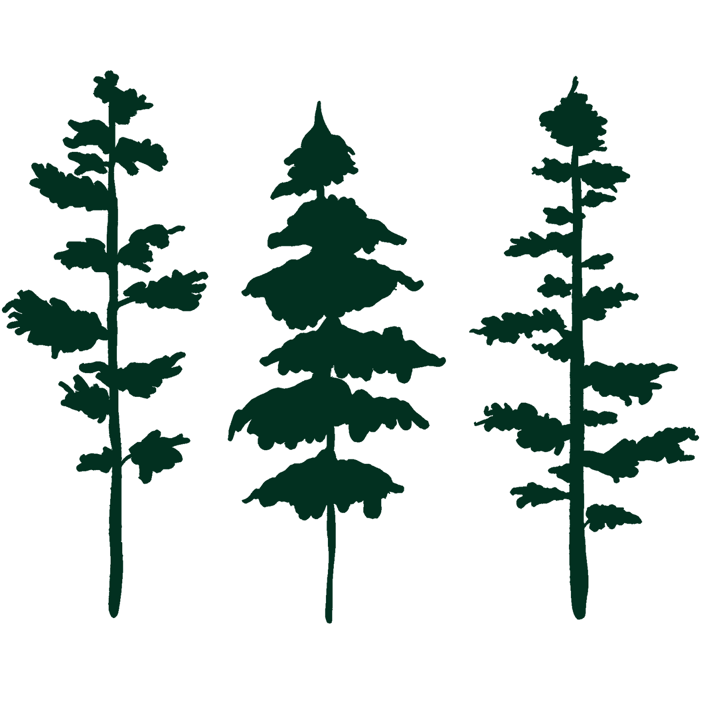 Still & Wild Sticker