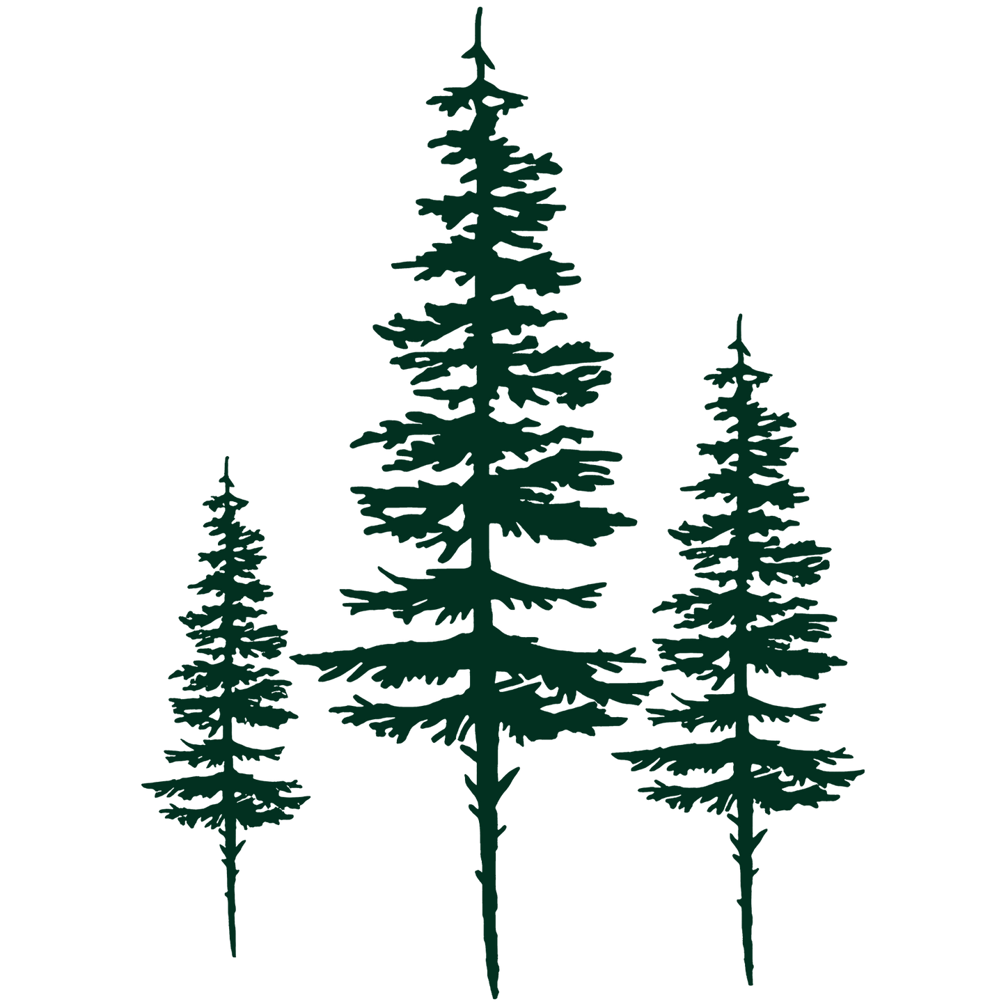 Forest Shore Sticker