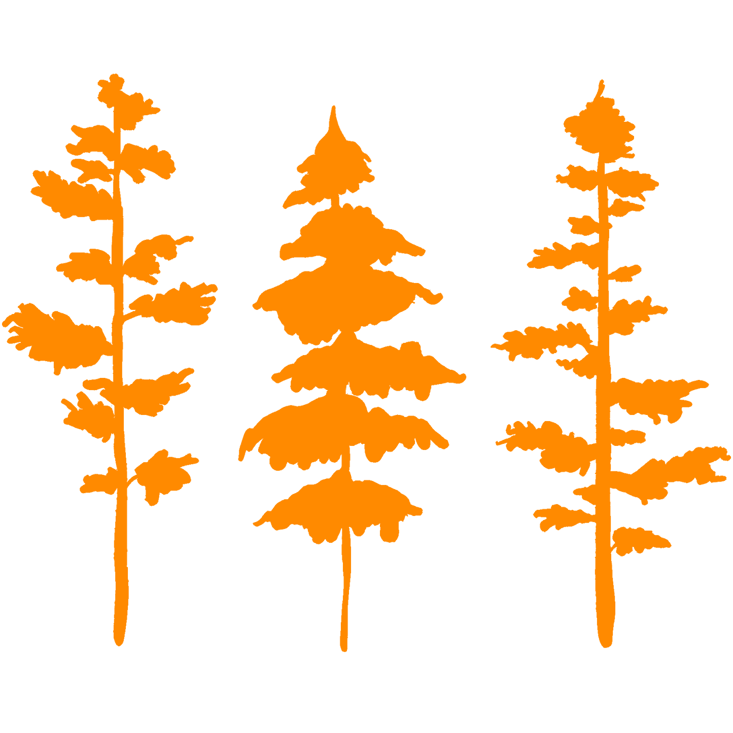 Still & Wild Sticker