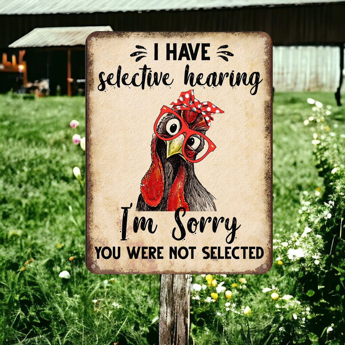 Chicken Funny - Chicken Metal Sign