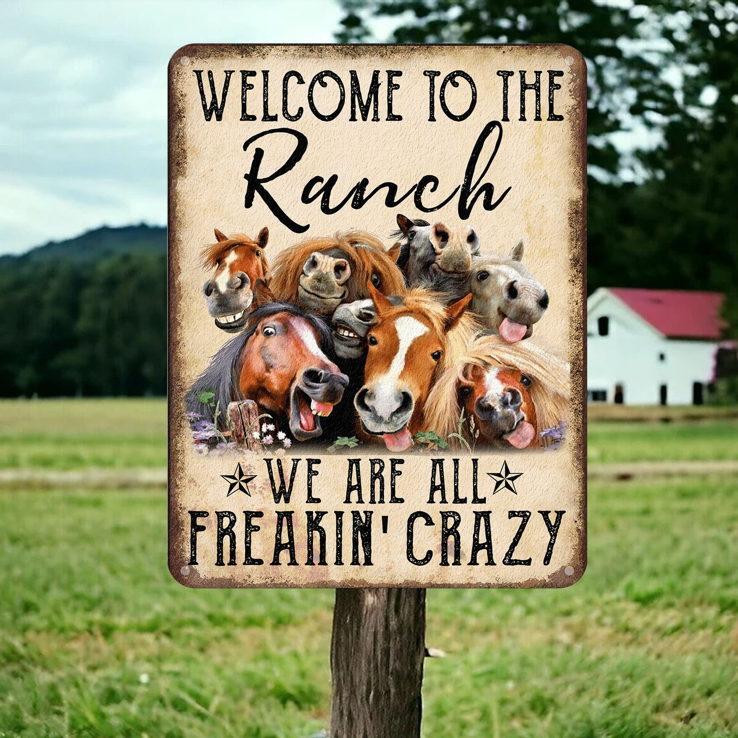 Welcome to the Ranch - Horse Metal Sign