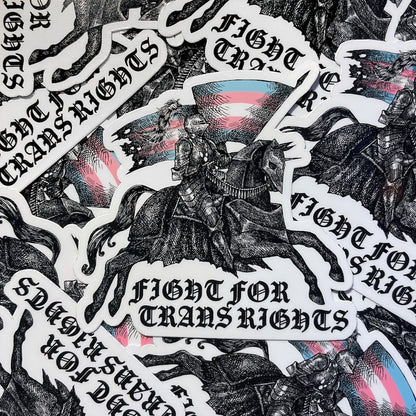 Trans Rights Sticker
