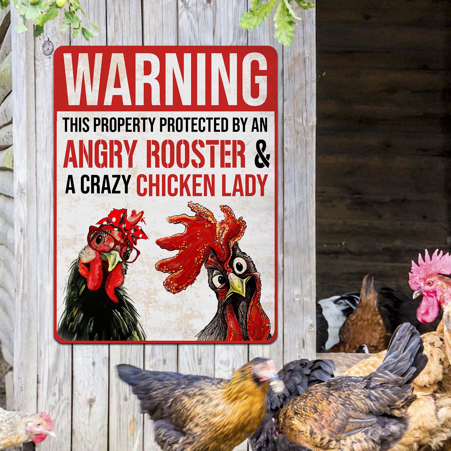 Warning This Property Protected By An Angry Rooster & A Crazy Chicken Lady Metal Sign