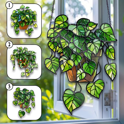 Hanging Heartleaf Plant Acrylic Window Hanging
