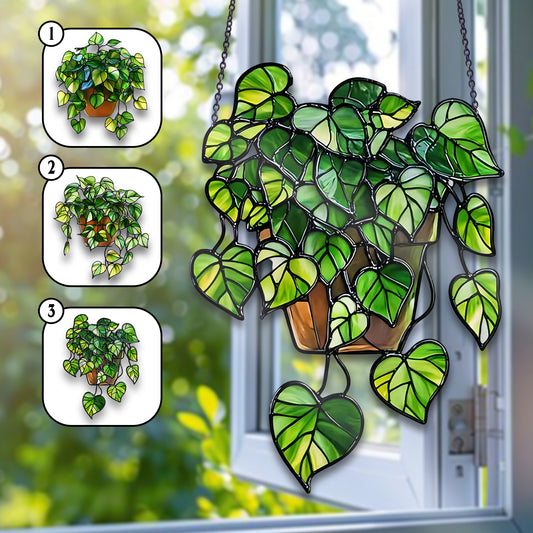 Hanging Heartleaf Plant Acrylic Window Hanging