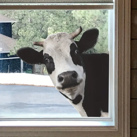 Cow Looking Sticker