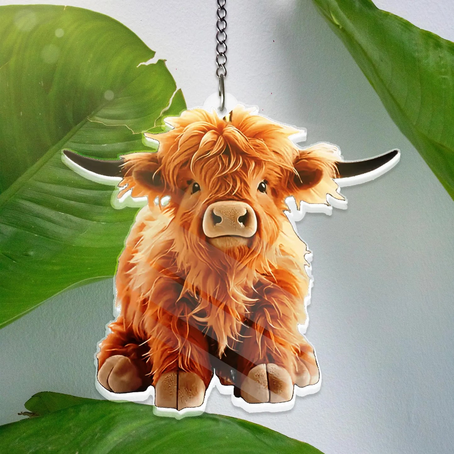 Highland Cow ACRYLIC Window - Farm Animal Acrylic Decor
