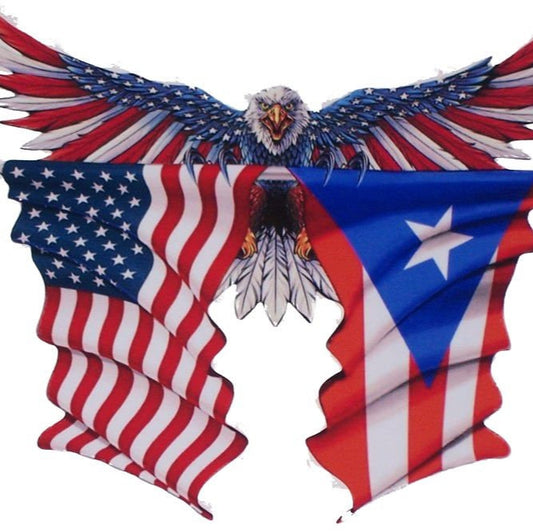 American Flag Eagle Sticker
