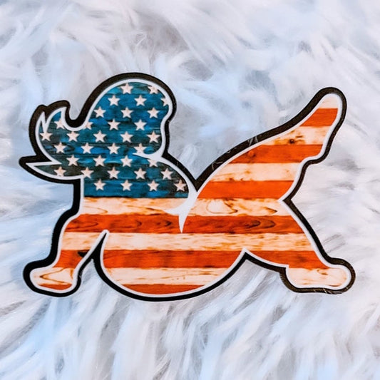 America Sticker
