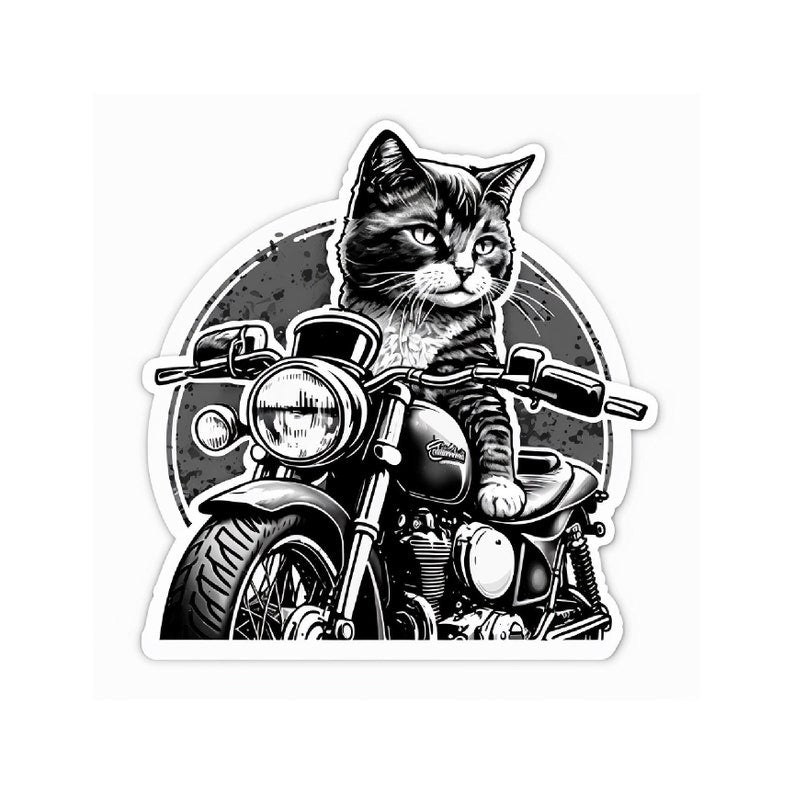 Motorcycle Helmet Sticker