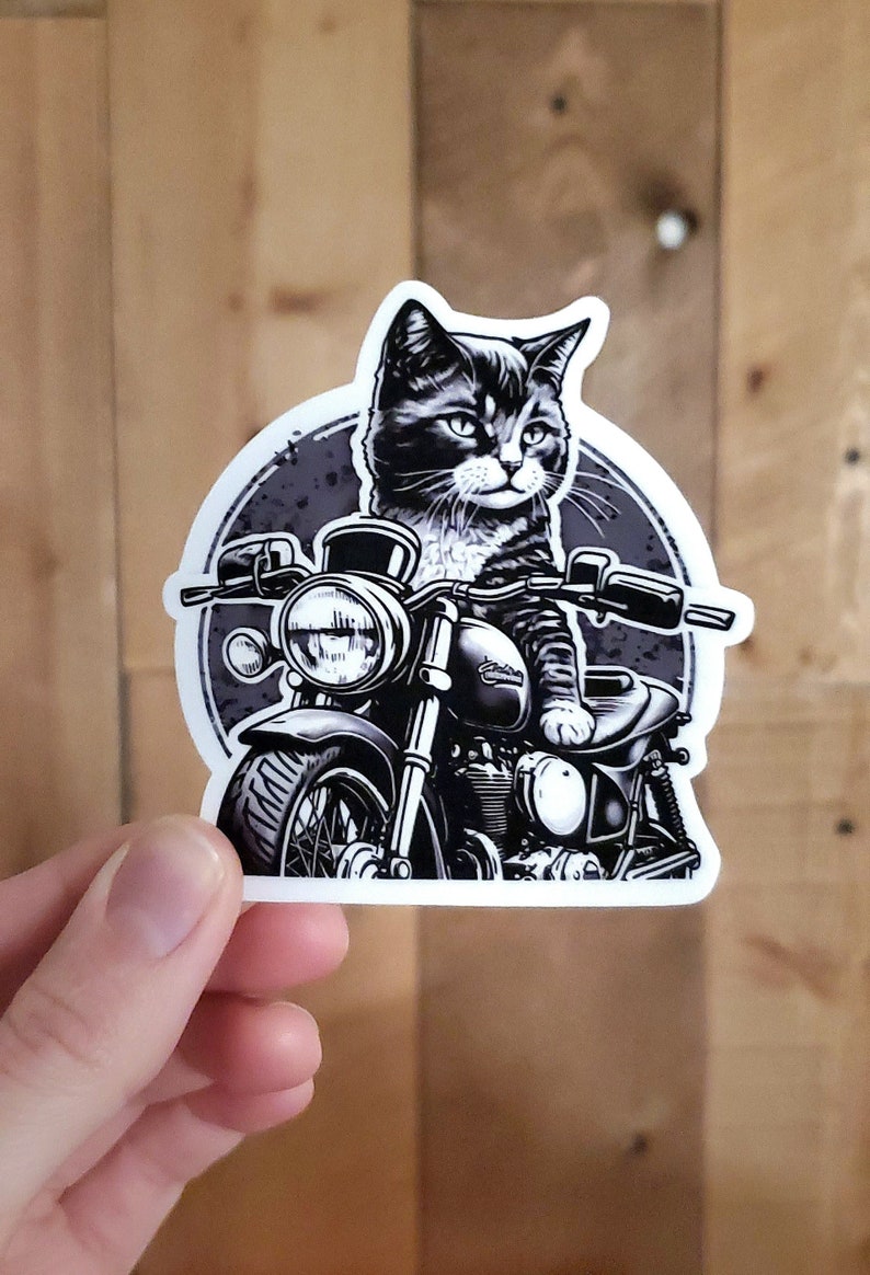 Motorcycle Helmet Sticker