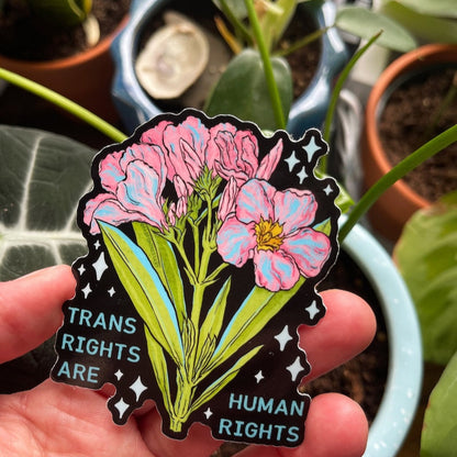 Trans Rights Are Human Rights Sticker