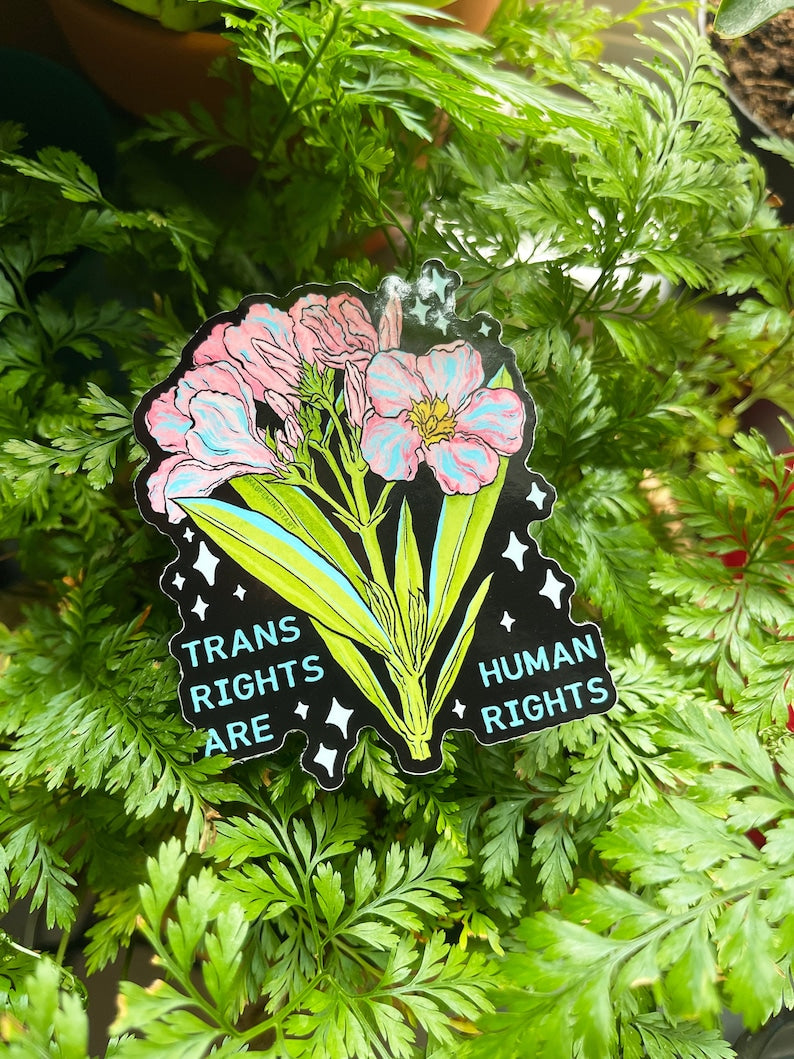 Trans Rights Are Human Rights Sticker