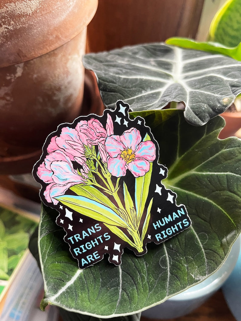 Trans Rights Are Human Rights Sticker