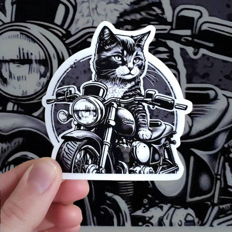 Motorcycle Helmet Sticker