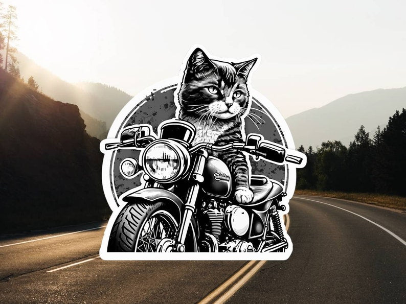 Motorcycle Helmet Sticker