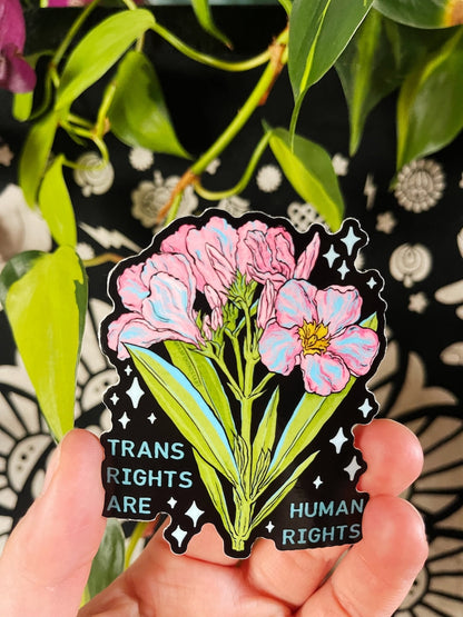 Trans Rights Are Human Rights Sticker