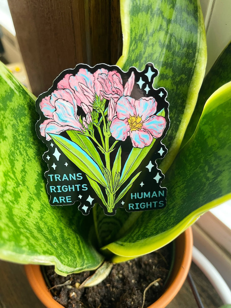 Trans Rights Are Human Rights Sticker