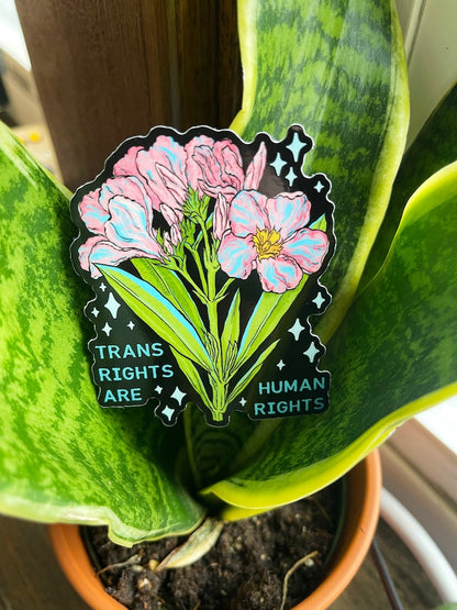 Trans Rights Are Human Rights Sticker